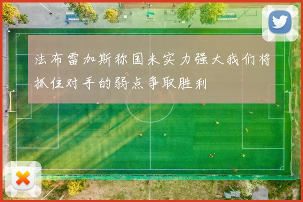 法布雷加斯称国米实力强大我们将抓住对手的弱点争取胜利