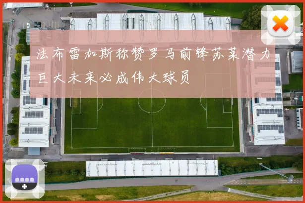 法布雷加斯称赞罗马前锋苏莱潜力巨大未来必成伟大球员