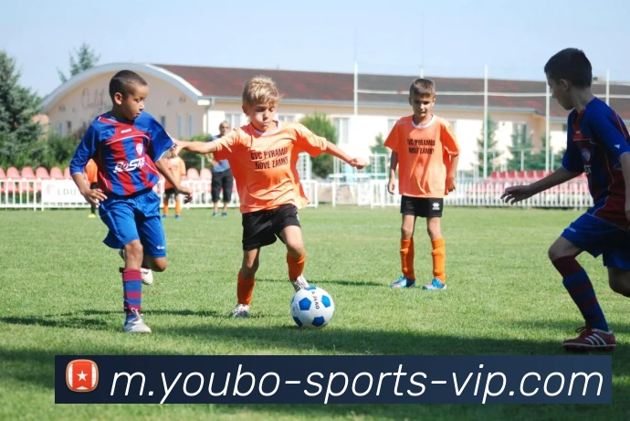 友博体育品牌故事